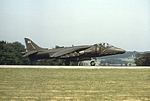 Harrier GR Mk.5 ZD401 Boscombe Down 13061992 D031-10