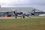 Sea Harrier FRS Mk.1 XZ451 Greenham Common 29061981 D13207